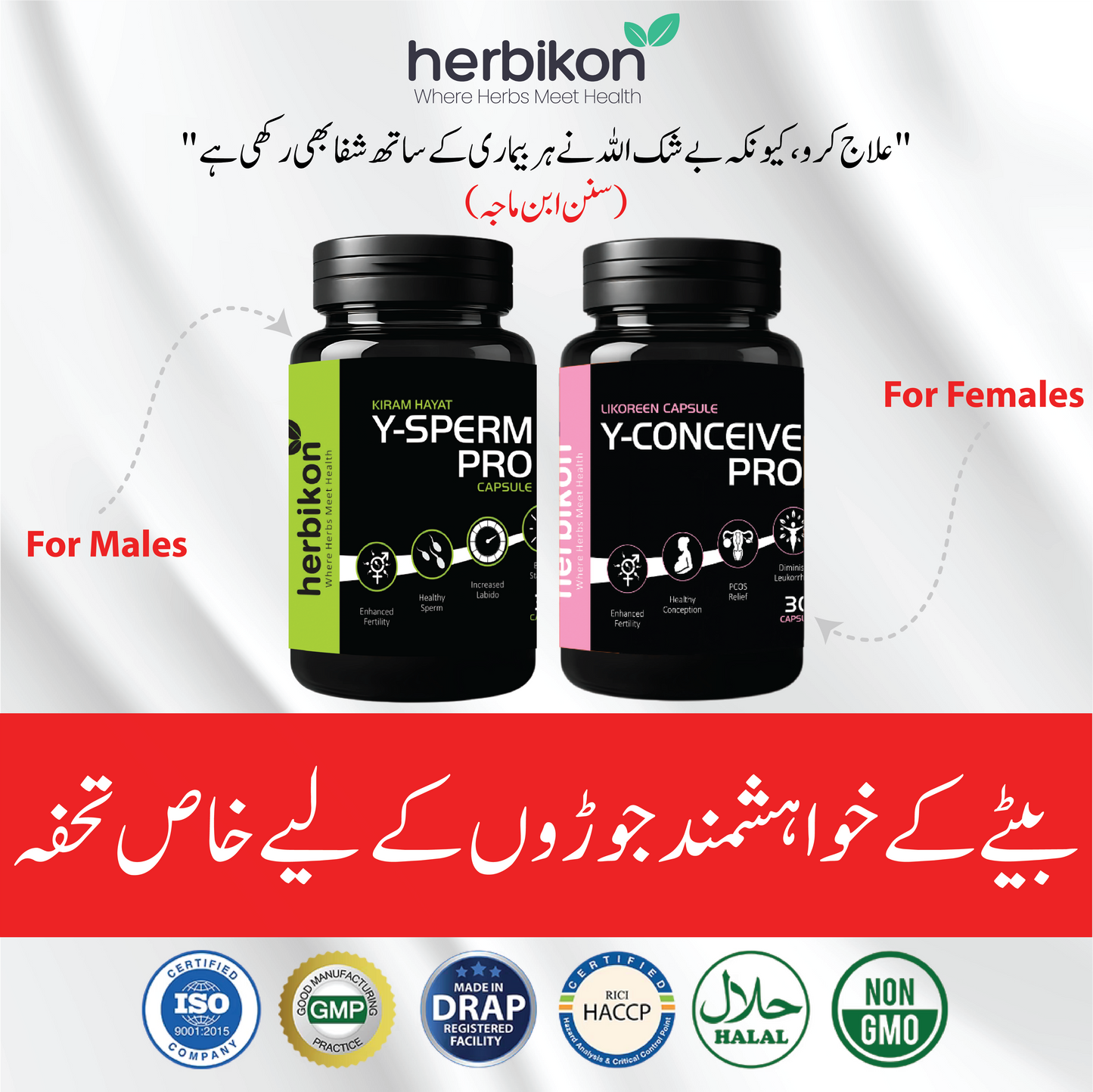 Y-Conceive + Y-Sperm SPECIAL Bundle